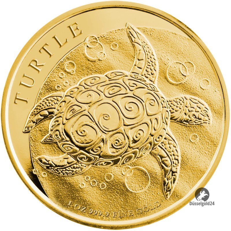 Золотой дом монеты инвестиционные. Золотая монета черепаха. Золотые монеты Ниуэ. Монета острова Палау 2017 год (золотой морская черепаха). Золотая монета Саломана.