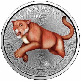 1 Unze Silber Cougar Puma  2016 Predator Canada farbig color