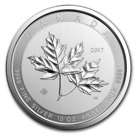 10 Unzen Silber Magnificient Maple Leaf  Canada 50 CAD 2017