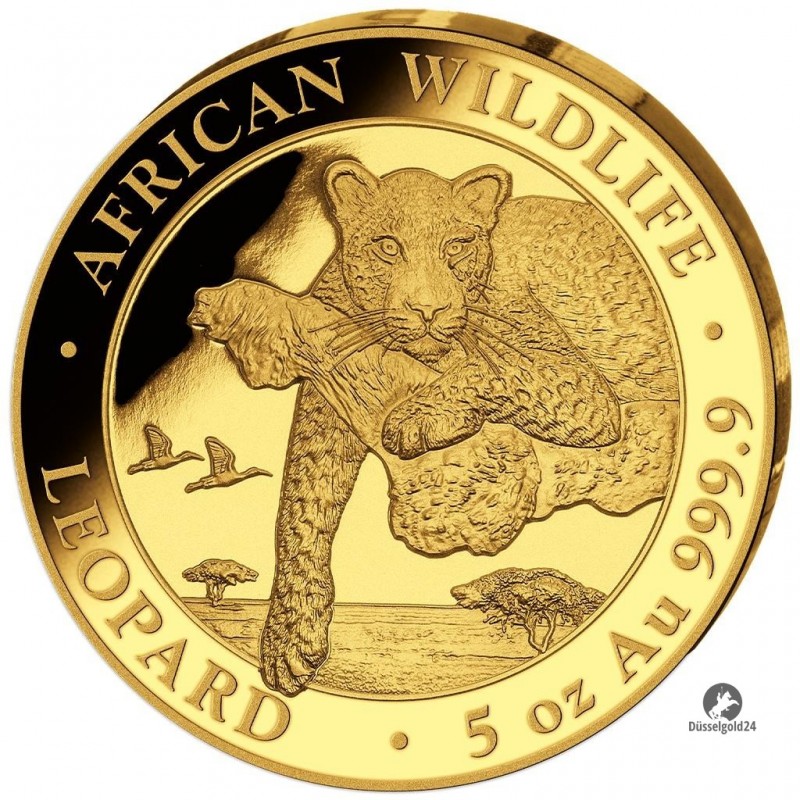 5 Unzen oz Gold Somalia Leopard 2020 PP (inkl. Holzbox)